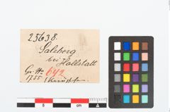 Etikett zu Bronzeknopf (NHMW-PRAE-025638)